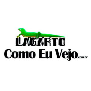 Lagartocomoeuvejo.com.br